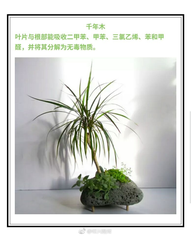 韩国三?理论片
