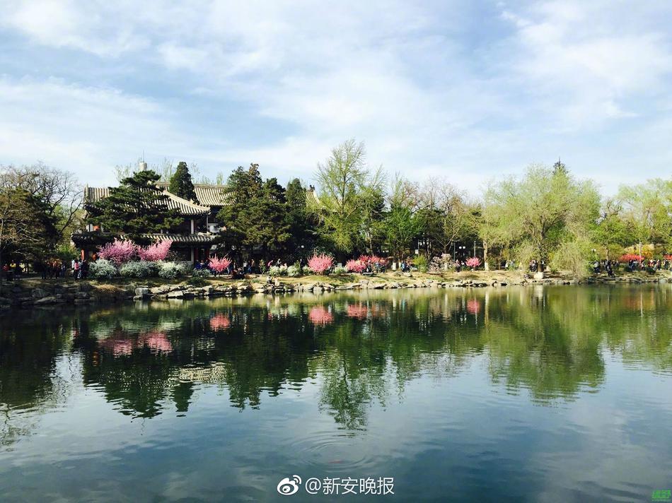 午夜理理伦电影A片朋友夫妇