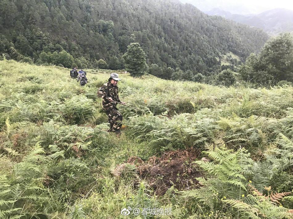 黄色三级片A