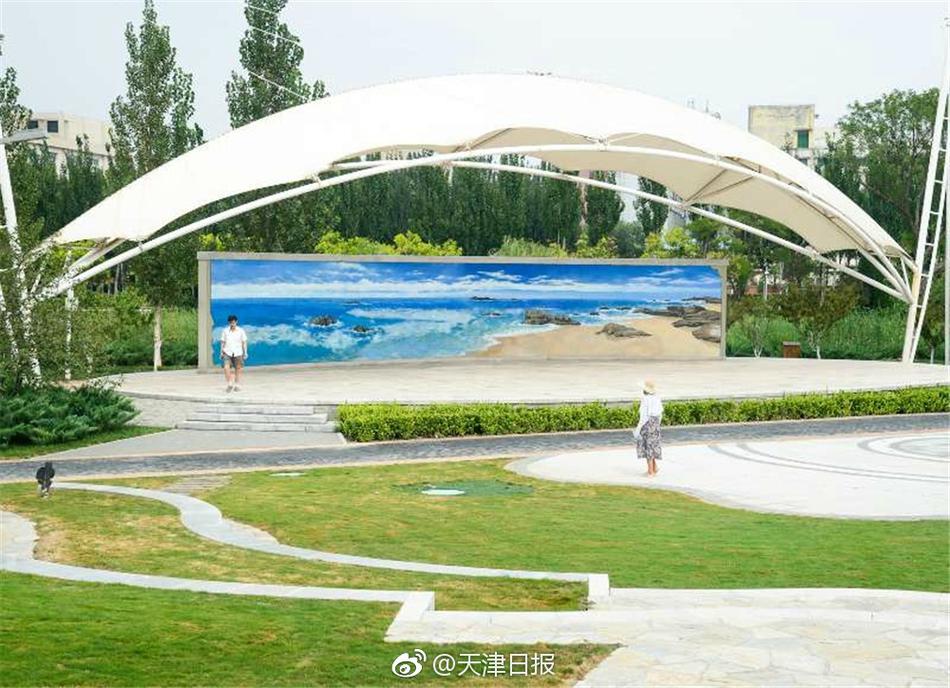 无需付费真人直播视频