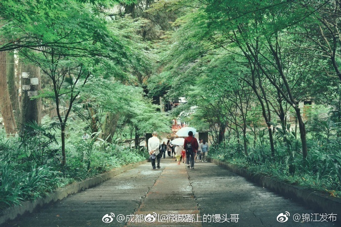 三年片免费观看大全明星换脸