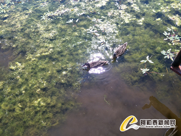 东京热成人版app下载