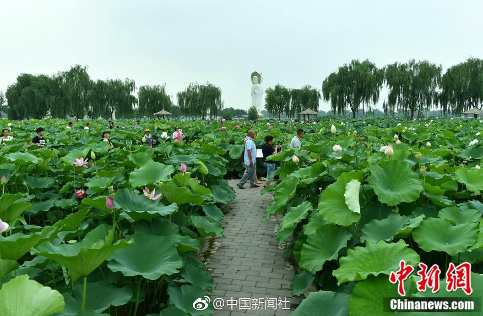 国产 麻豆 女教师张津瑜