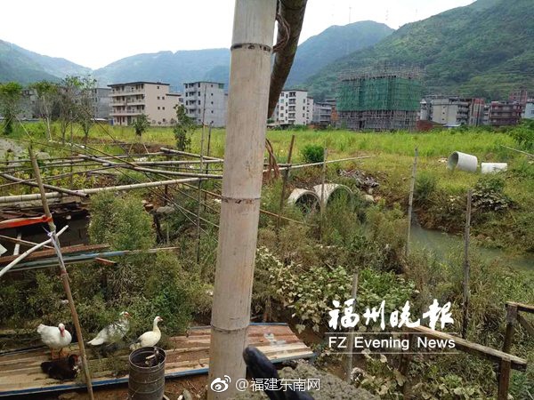 欧美三级片不卡在线