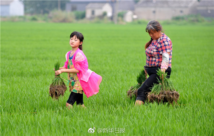 拔陰毛