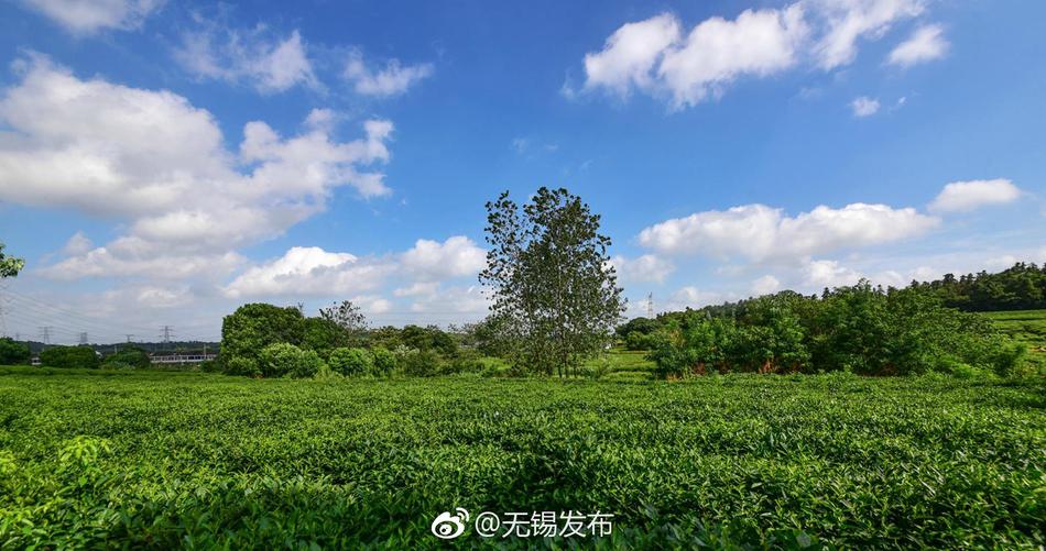 黄鳝门琪琪