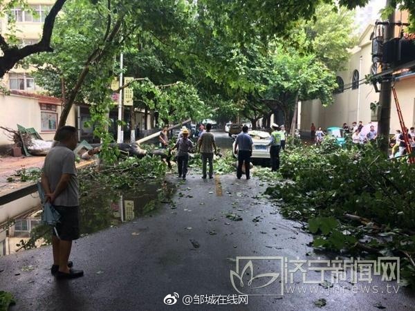 在看操逼视频