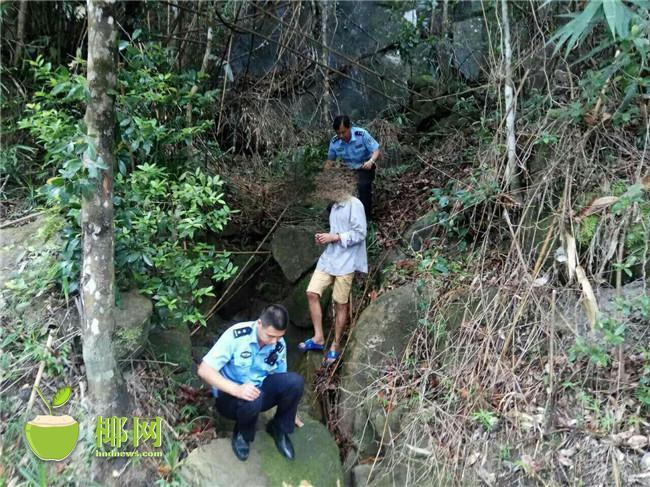 华语 色情 网