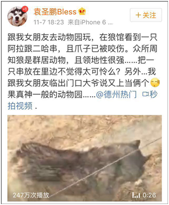 台灣藝人雪碧