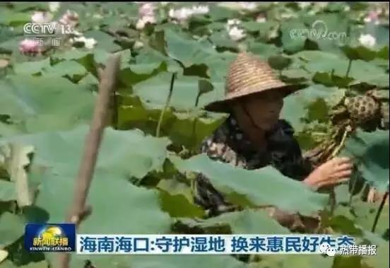 鞭打+玩弄+跪趴+调教+抹春药