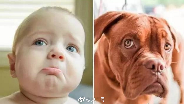 黄片小说