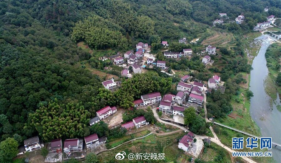 小野寺梨紗
