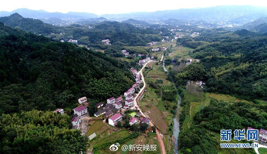 暗呦小u女国产精品的发展趋势