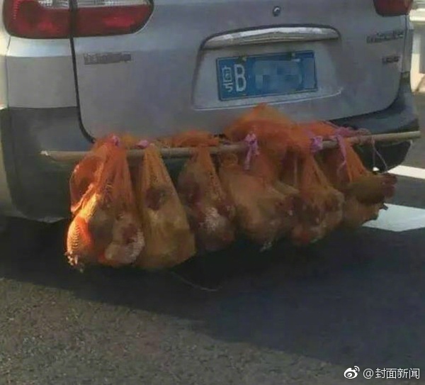 欧美    XXXX业务娇小