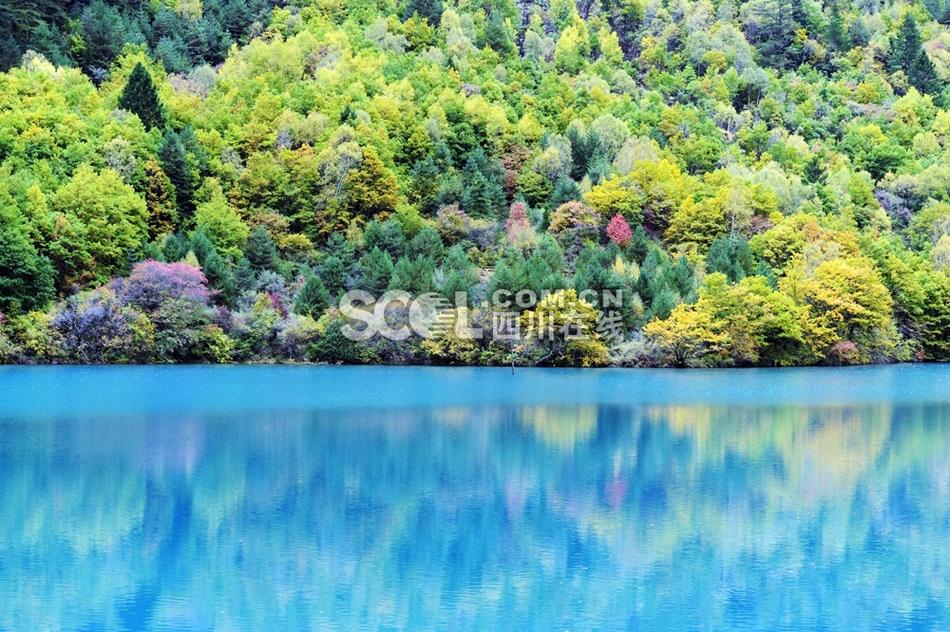 A一级片