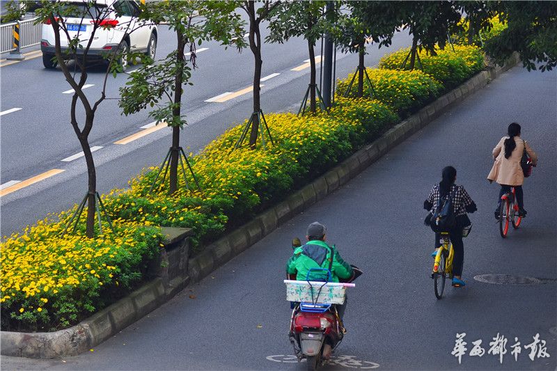 综合五月婷婷