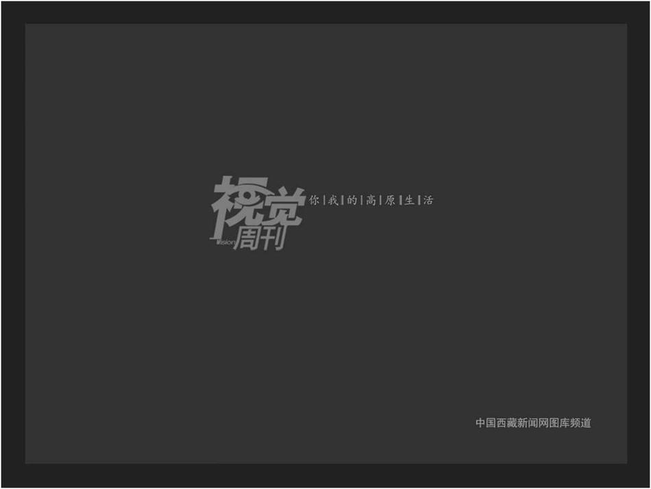 淫荡欧美人妻少妇肛交