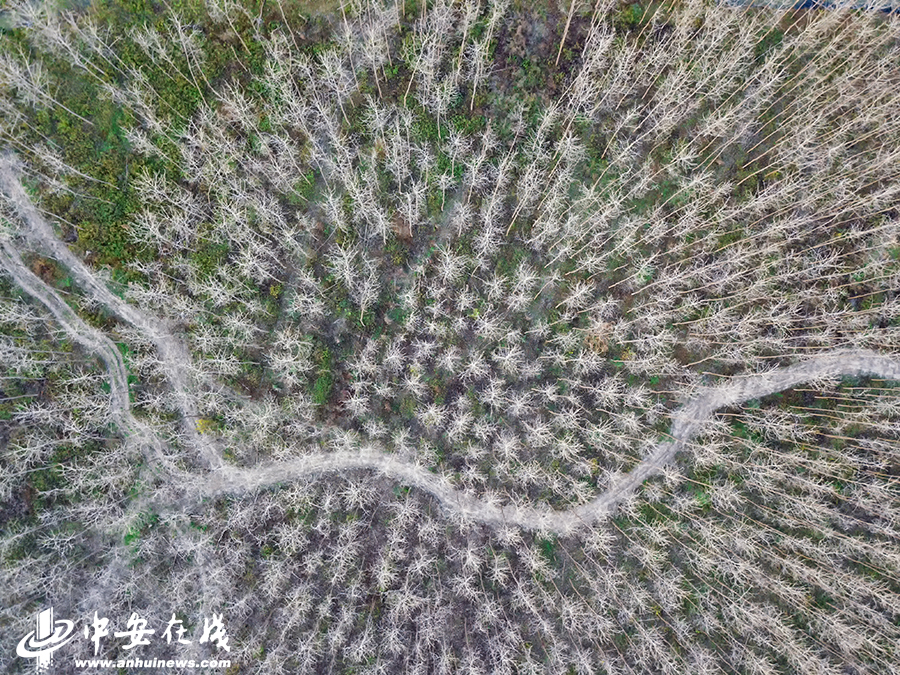 惩罚公主破解版免费游戏中文代码