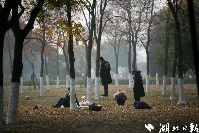 欧美西方狗操女入比网站