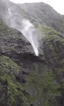 美欧美视频黄色