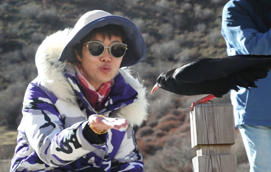 人妻JapanHDXXXⅩ醉人