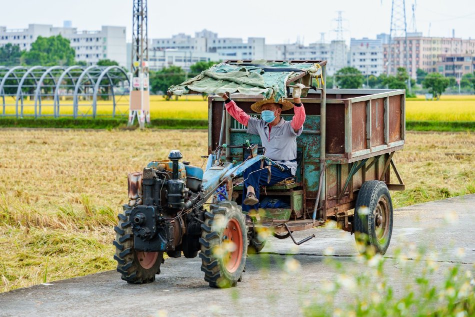 黄色在线