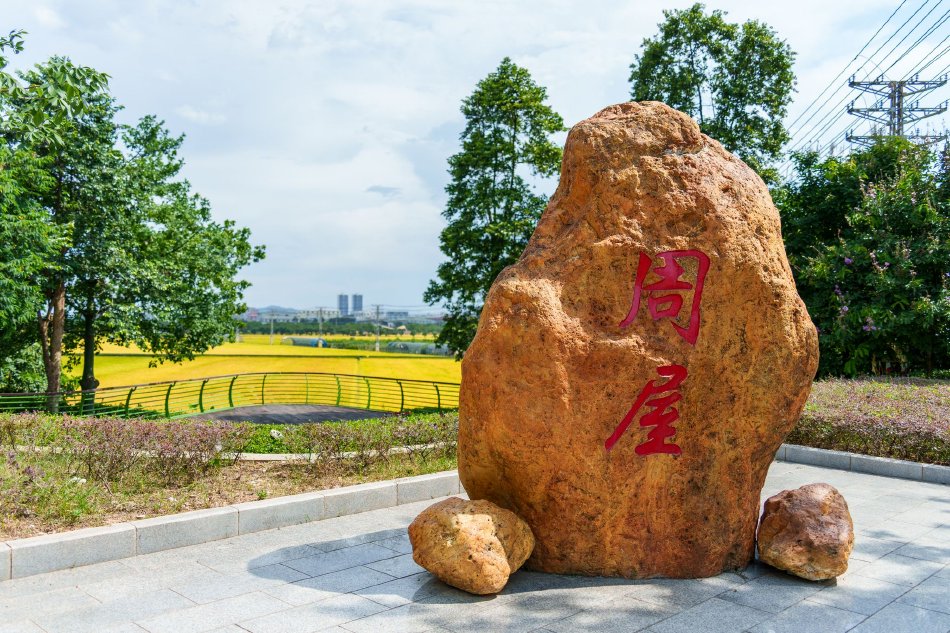 黑人大屌中國