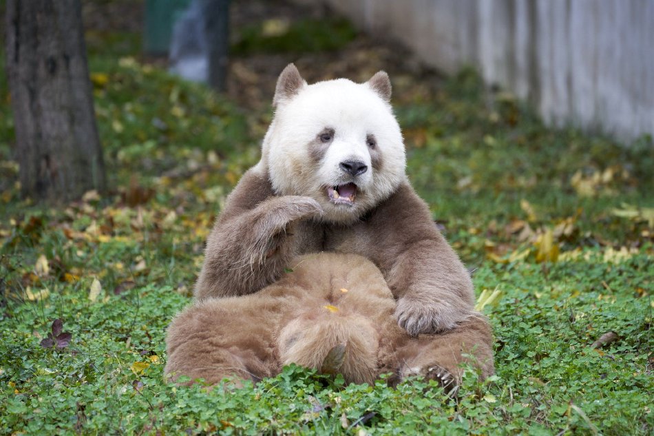 欧美三级性