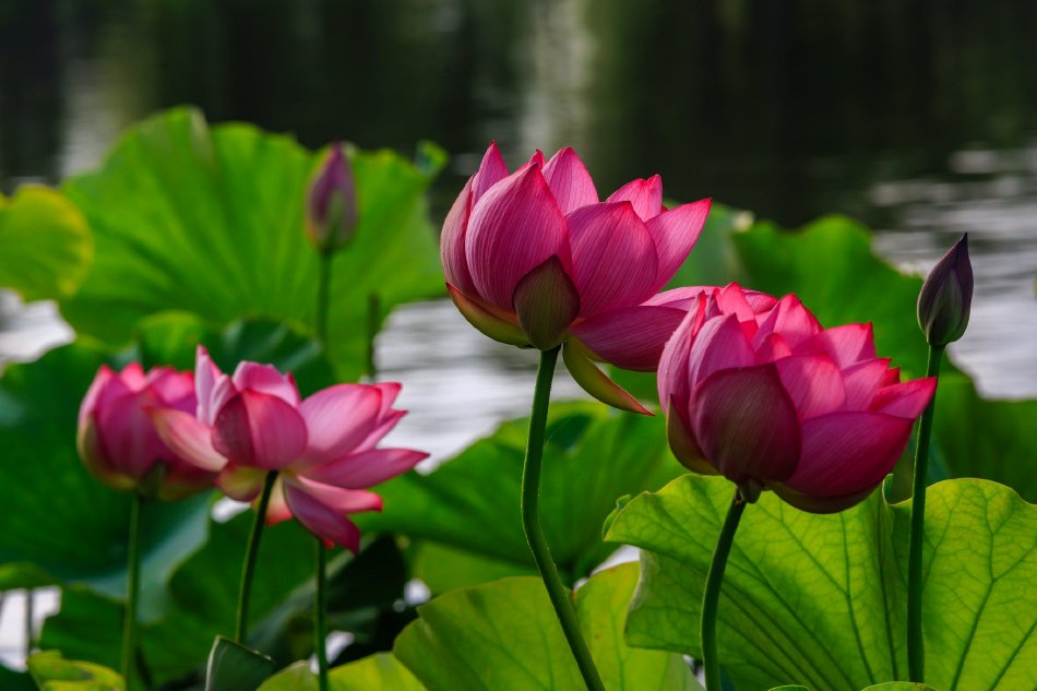 老师撩起胸让我的 蹭来蹭去