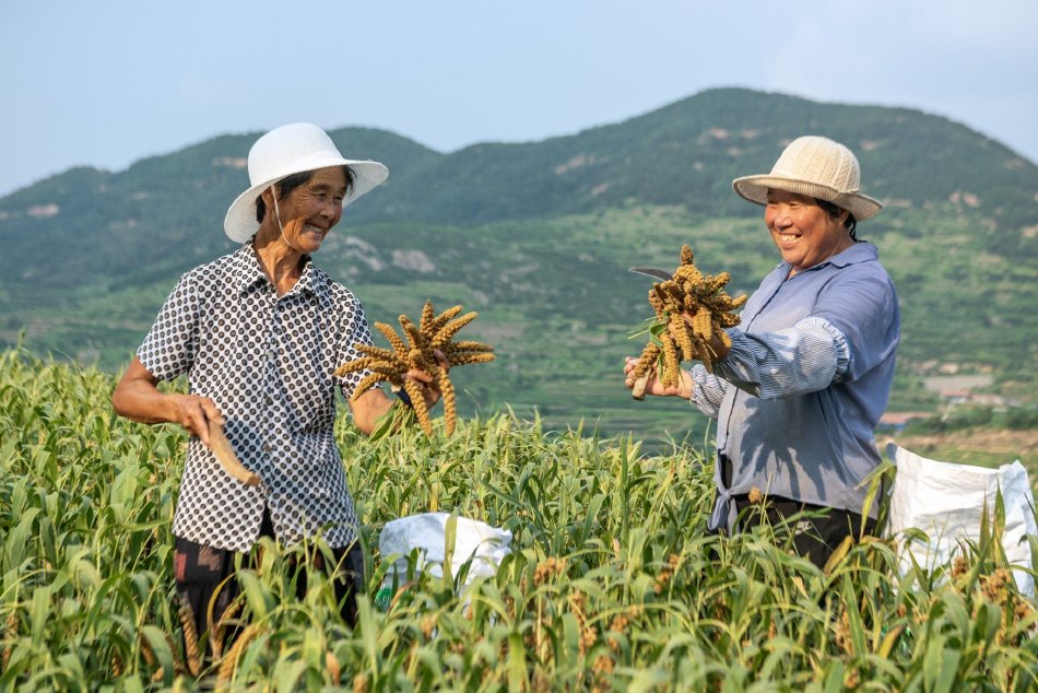 黄色网站哪里有