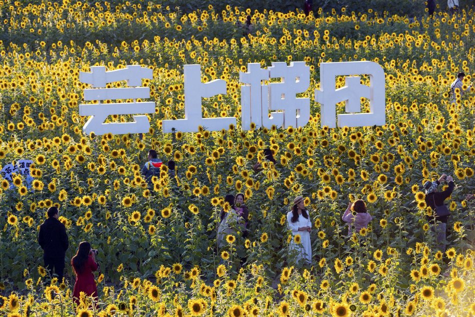黄片无码高清在线