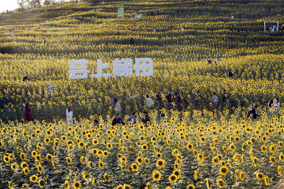亚洲视频一区二区