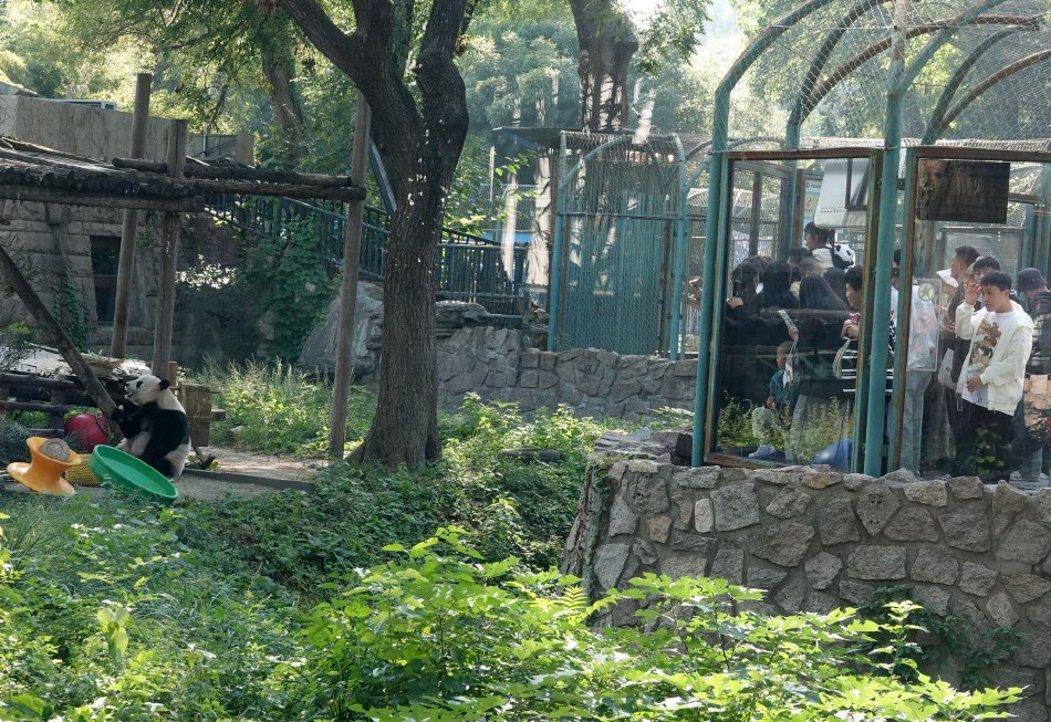 能不能在办公室干事你电视剧