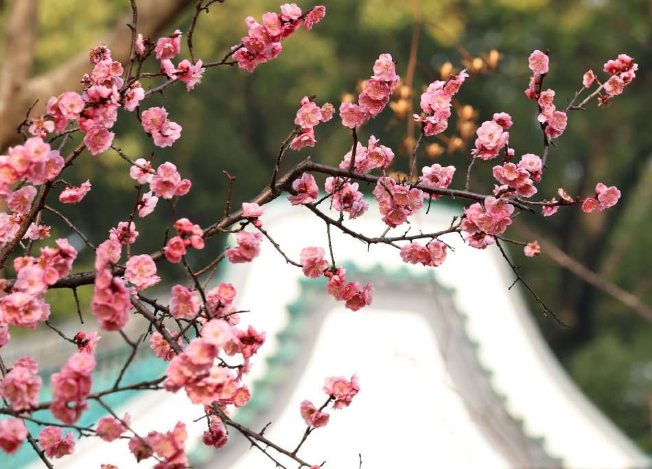 国产农村妇女一级A片免黑人
