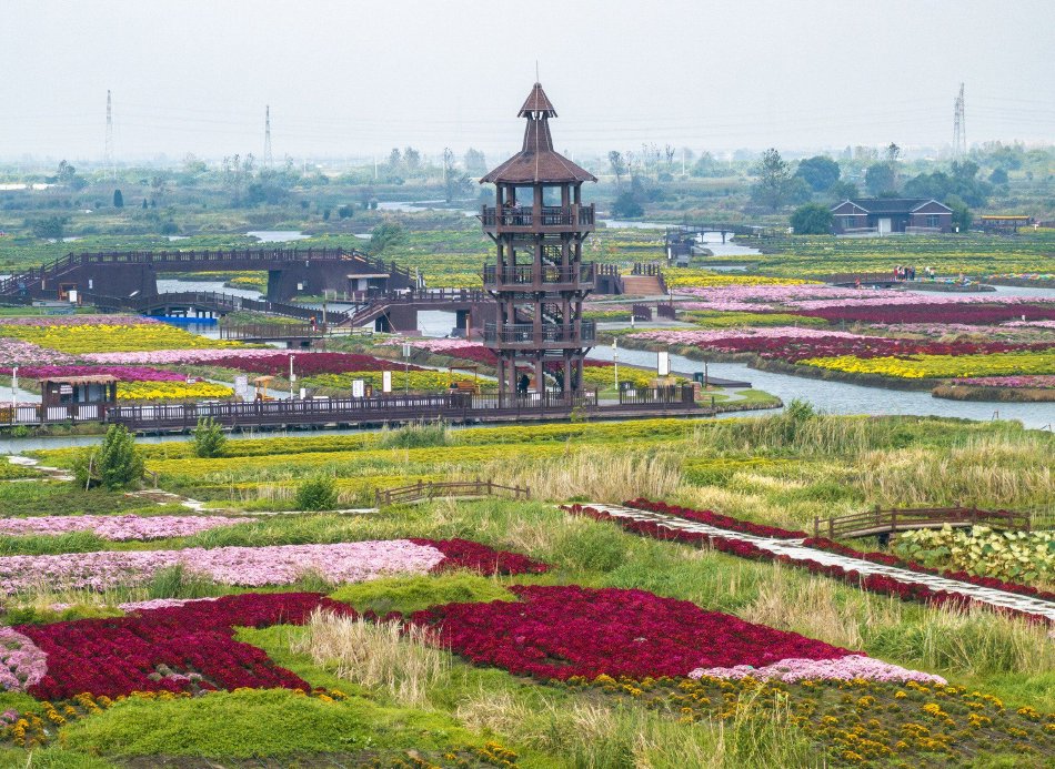 国产99久久