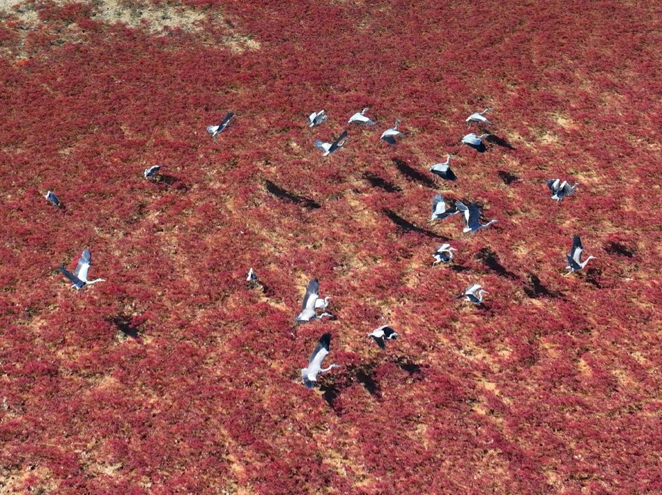 苍井空无码性爱电影