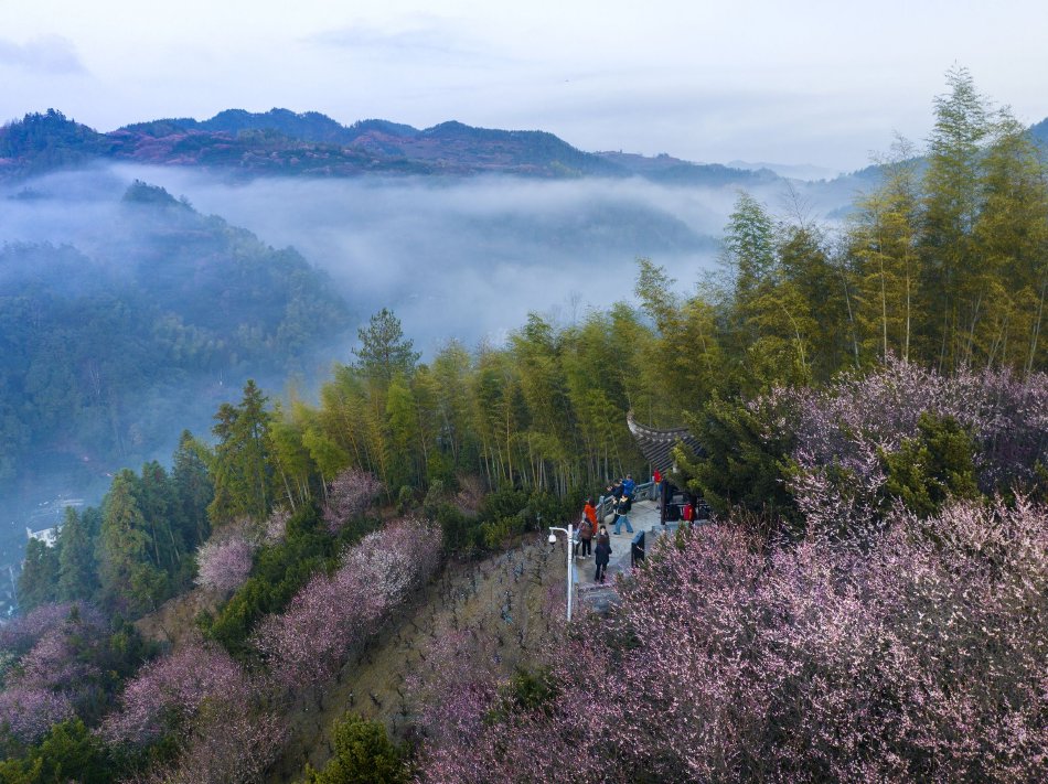 huluwa葫芦里面不卖药千万片你需要
