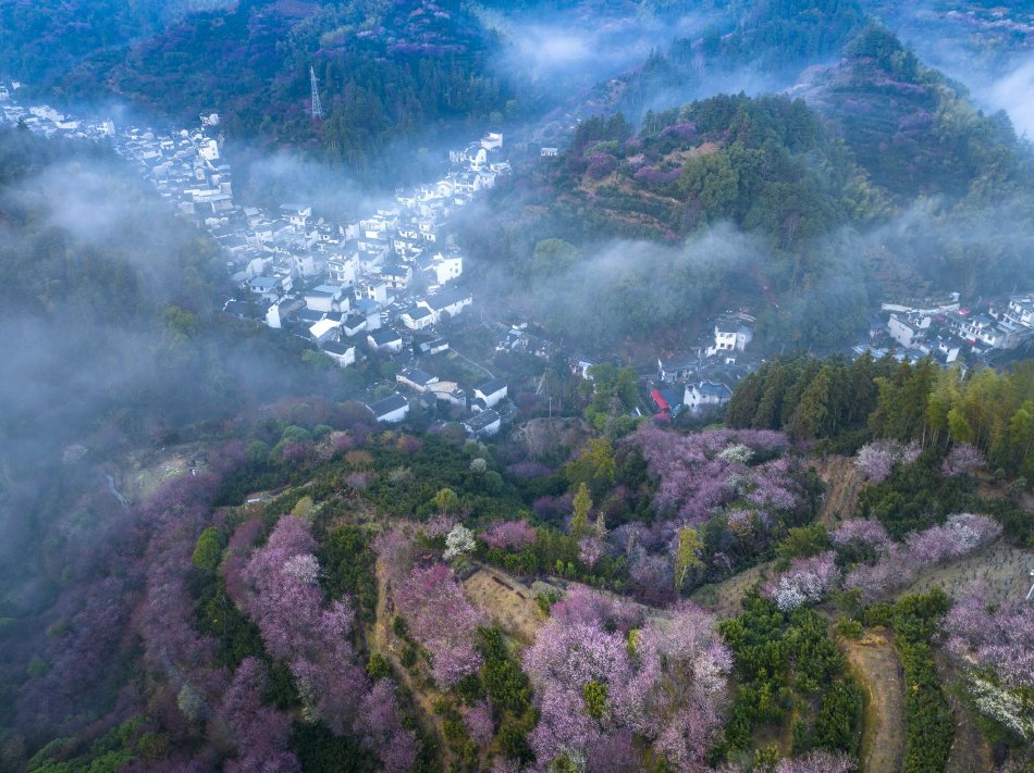 精品国产91久久久久久久妲己