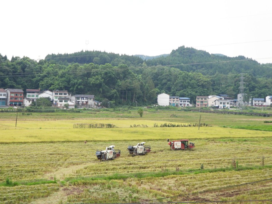 唐三  小舞流出来