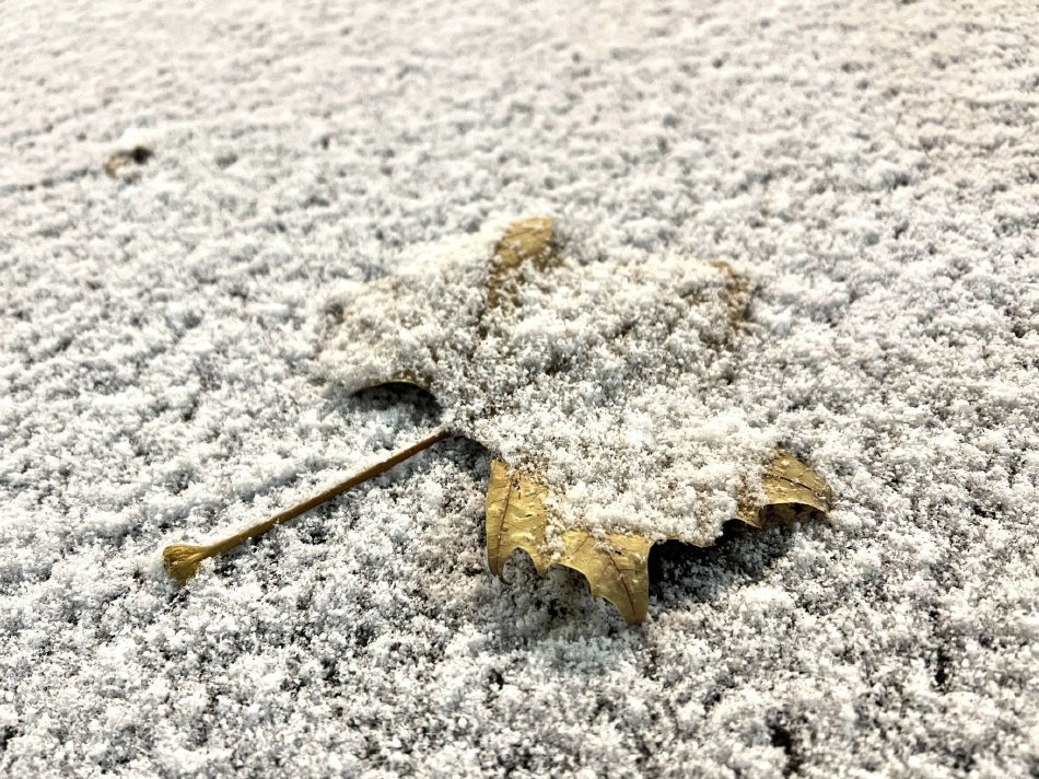 韩美伦理电影网站