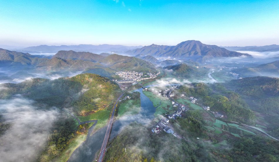 MITAO永久免费