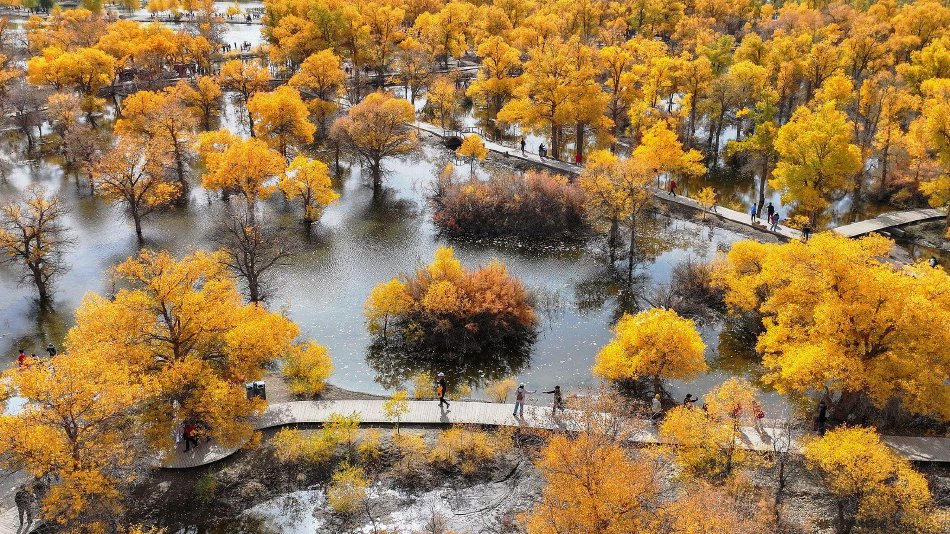 甘肃省沙漠胡杨林 dea0-0ddce127d3886eafbf7feaa6e7f31d46.jpg