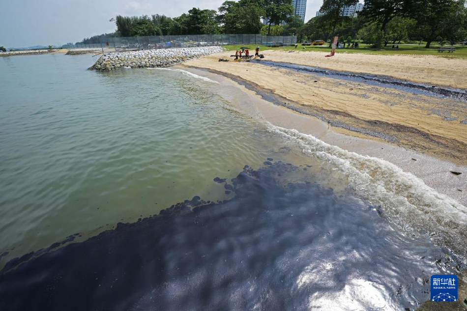 台湾子涵