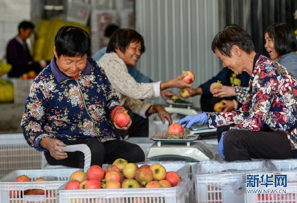 波多野结衣在线观看视频二区