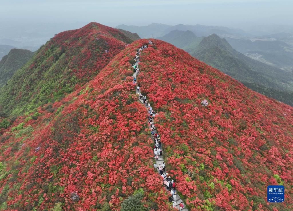 老头树林泄精喂老头