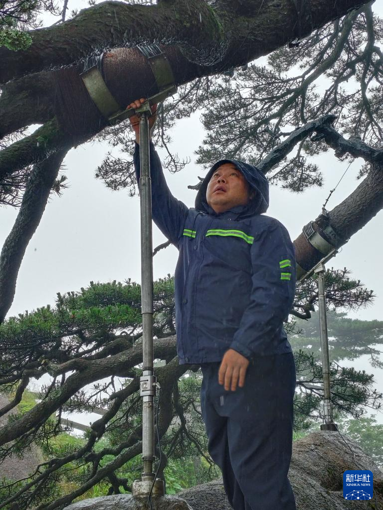 柏木舞子