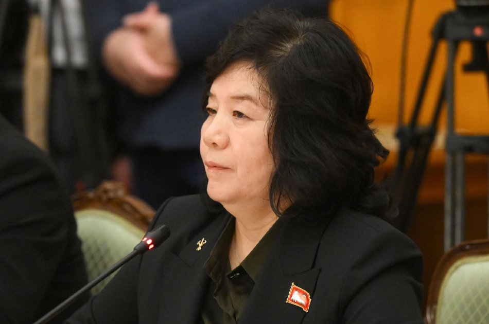 越南妹