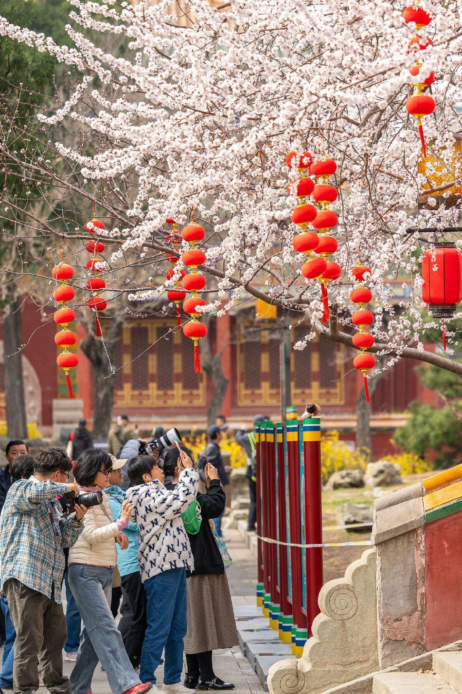 英国黄色片 网站