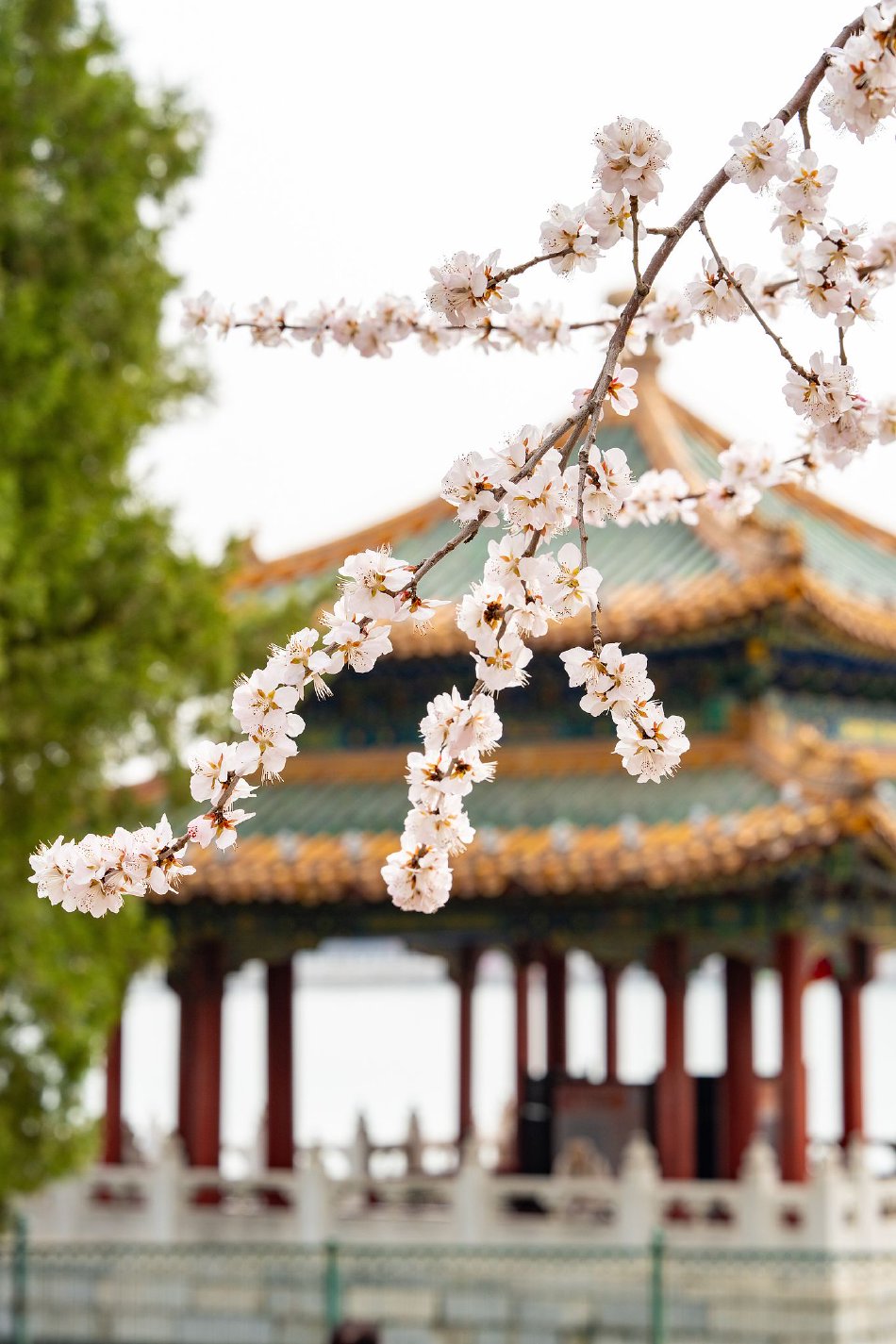 丝袜麻麻在厕所自慰