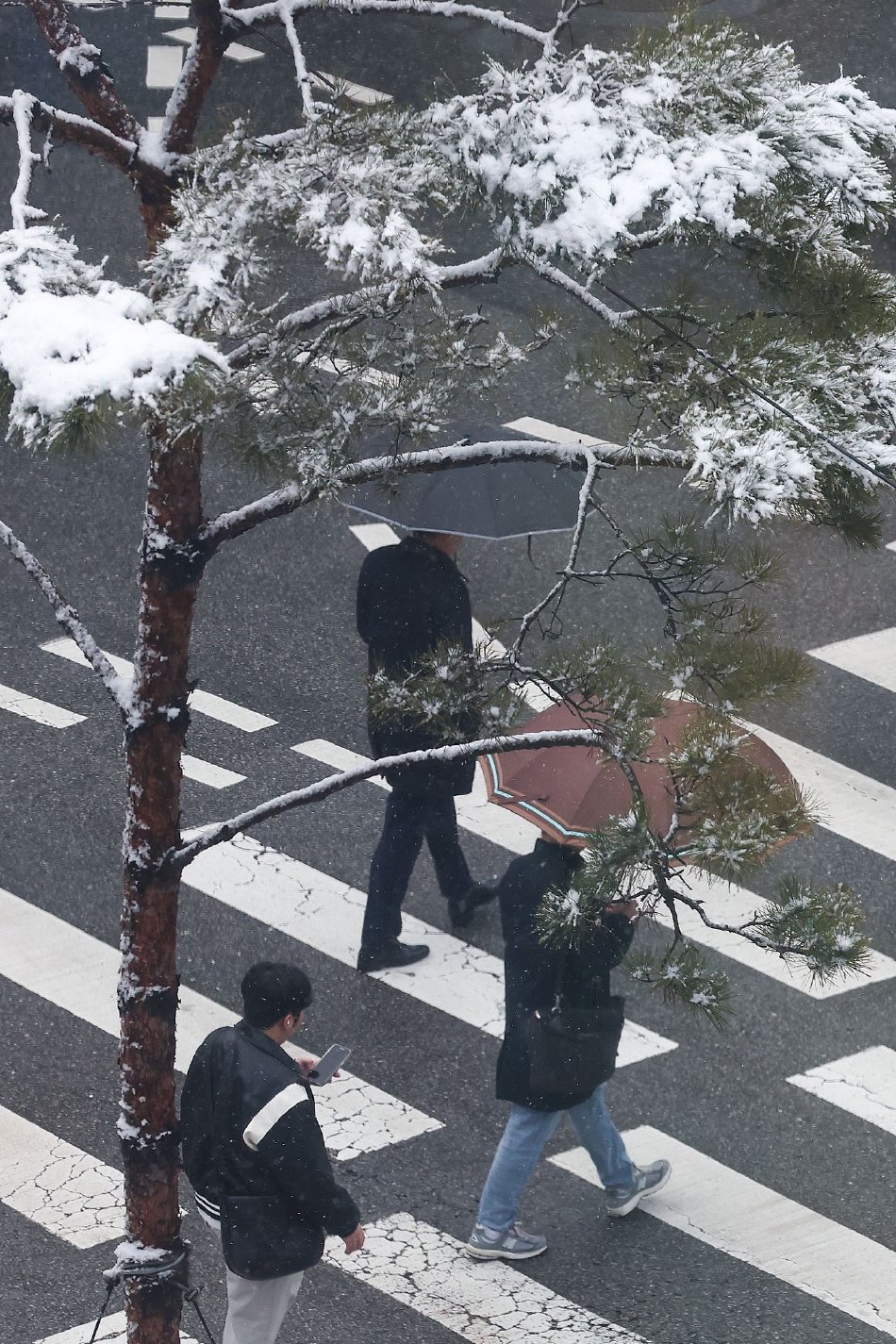 友田真希十部必看经典电影有哪些